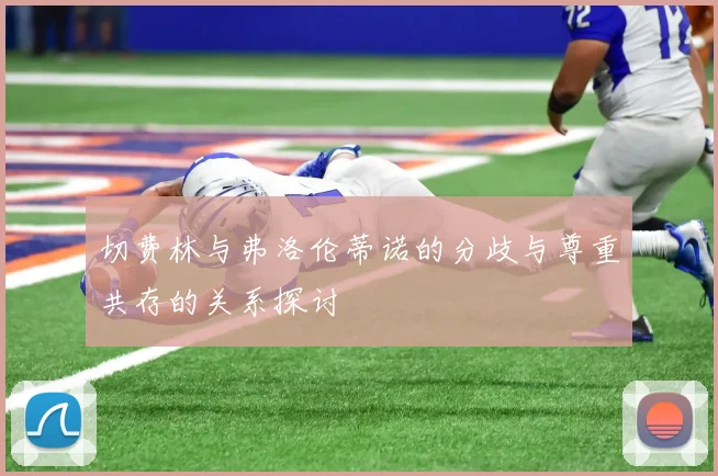 切费林与弗洛伦蒂诺的分歧与尊重共存的关系探讨