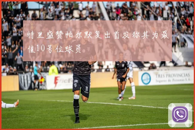 特里盛赞帕尔默复出首发称其为最佳10号位球员