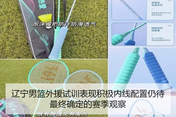 辽宁男篮外援试训表现积极内线配置仍待最终确定的赛季观察